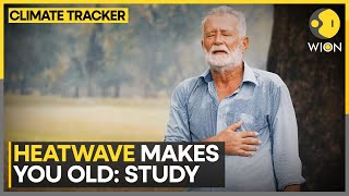 Can Heatwaves Age You Faster? New Study Says Yes | WION Climate Tracker