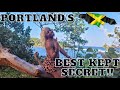 Have you ever seen this side of PORTLAND, JAMAICA? Exploring Portland&#39;s hidden treasures.