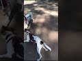 el flaco jugando con su amigo 2
