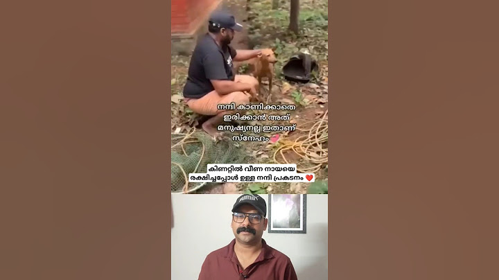 കിണറ്റിൽ വീണ നായയെ രക്ഷിച്ചപ്പോൾ ഉള്ള നന്ദി 🥰 #shorts #dog #viralvideo