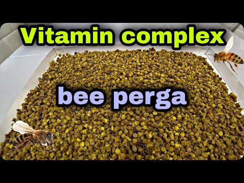 Video: Bee-perga: samestelling, vitamiene, voedingstowwe, kontraindikasies, medisinale eienskappe en gebruiksreëls