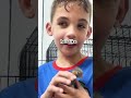 Kiwi the cockatiel: is the cutest bird