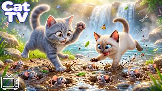 Cat TV 24/7: Anti-Anxiety Music & Cat Cartoon for Stress Relief | Cat Videos for Cats to Calm Cats screenshot 5