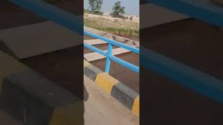 Sidhnai Mailsi Link canal short video# in punjab