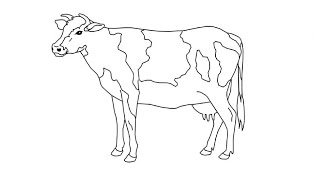 How to Draw a Cow / Как нарисовать корову How to Draw a Cow / Как нарисовать корову