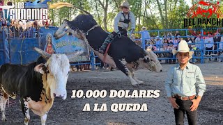 10 MIL DOLARES A LA QUEDA, PEQUEÑO GUERRERO DE TAXCO VS EL MAREMOTO DE LOS TSUNAMIS EN WISCONSIN!!!