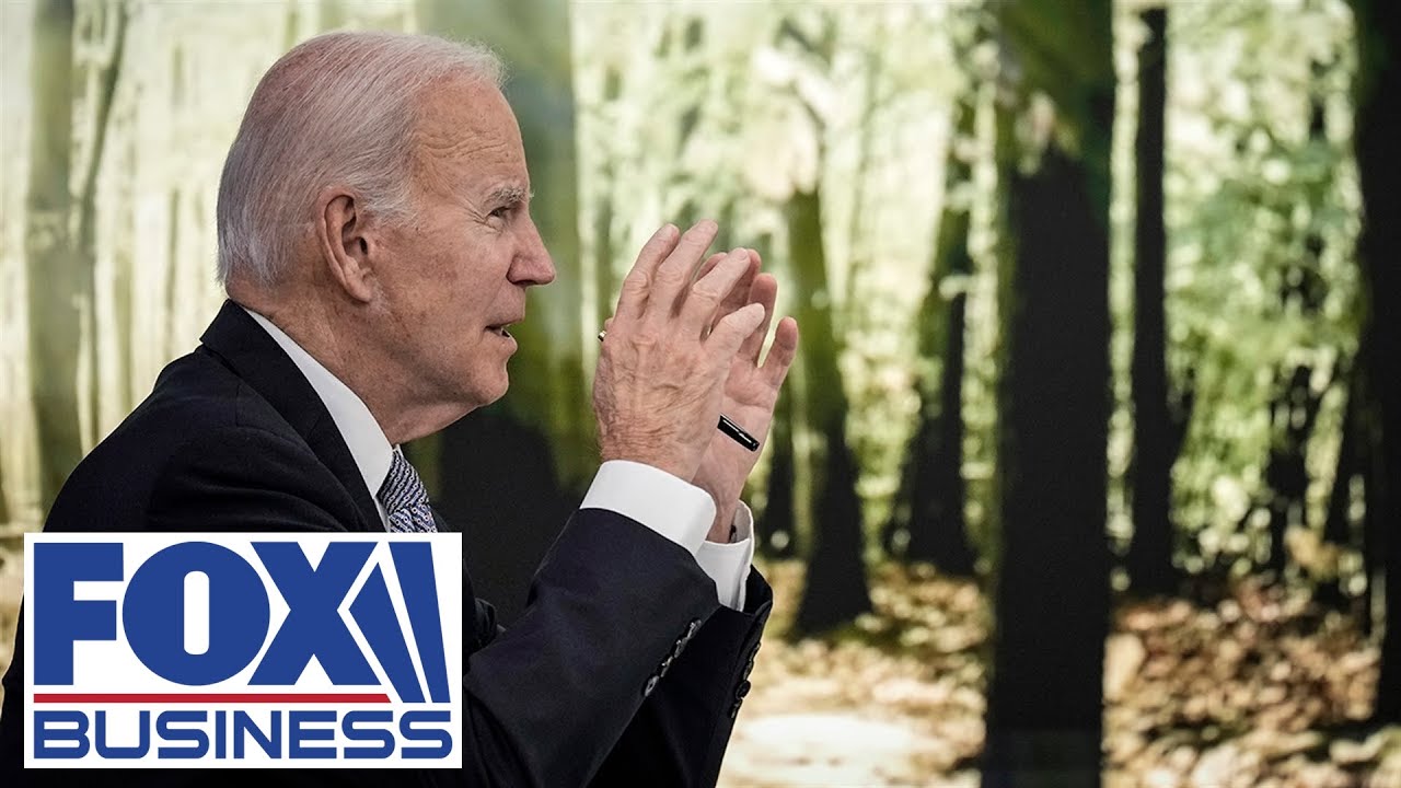 This ‘slush fund’ is nothing more than ‘legalized plunder’: Economist