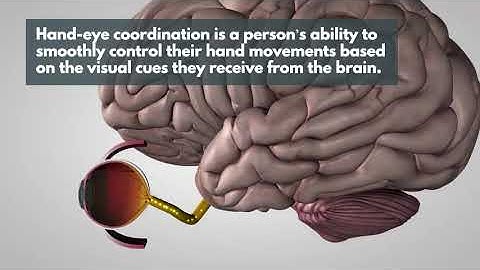 What Is Hand-Eye Coordination? | Silicon Valley Eye Physicians