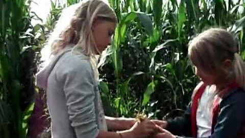 Jak nahradit kravské mléko při pečení?