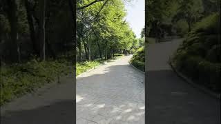 Mindful Walking Sessions: The perfect song for your walk #shortsvideo #cozymusic