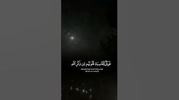 افمن شرح الله صدره للإسلام فهو علـى نور من ربه || القارئ ماهر المعيقلي