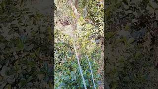  Triu View   Tha Mn Ngi Xem  Best S Oddly Satisfying p484