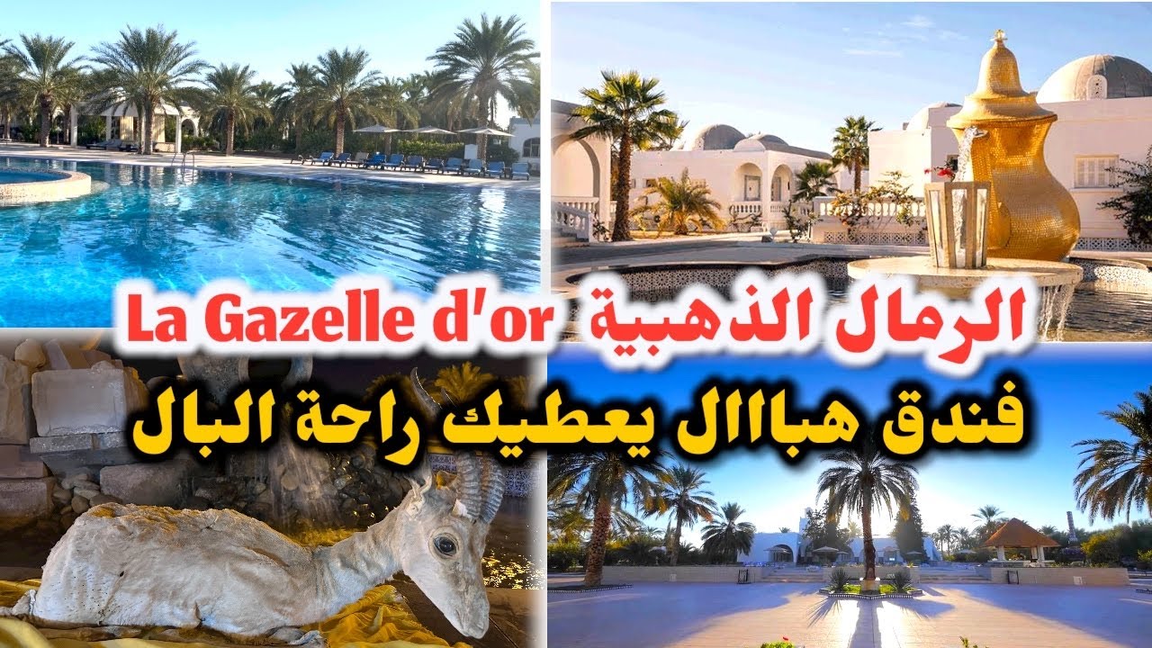 La Gazelle d’or VLOG 🇩🇿DZ 