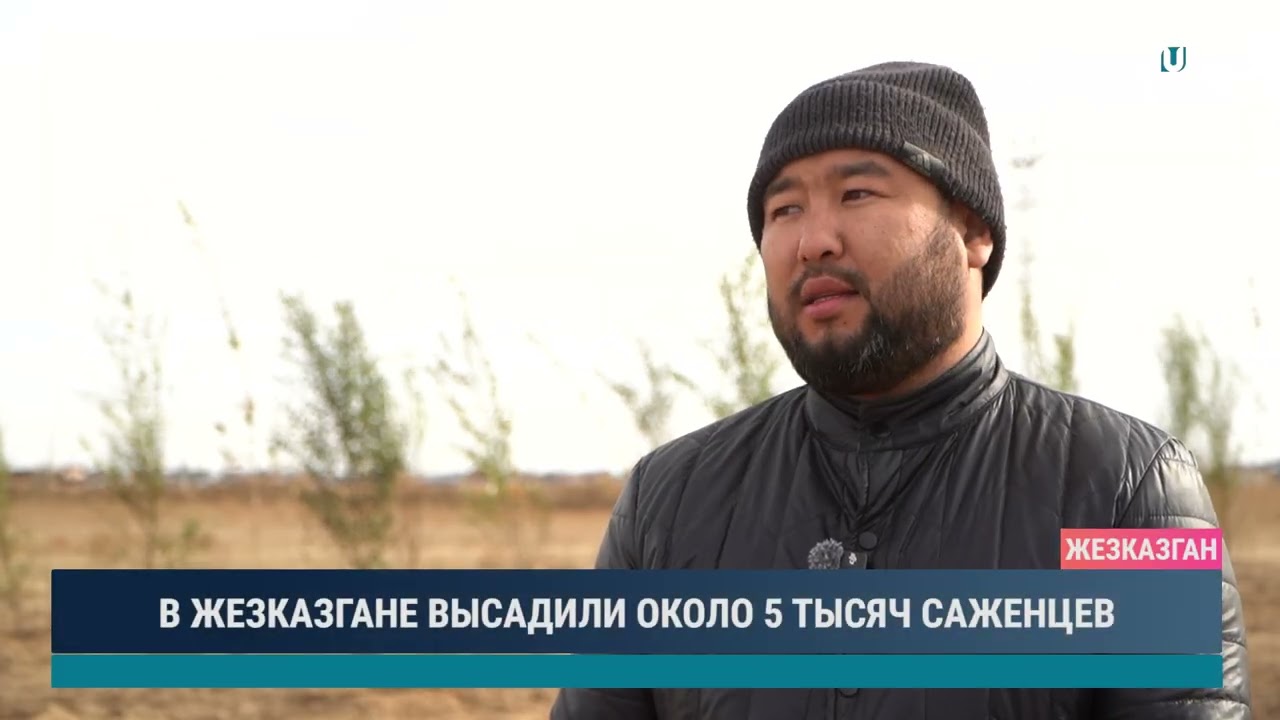 В ЖЕЗКАЗГАНЕ ВЫСАДИЛИ ОКОЛО 5 ТЫСЯЧ САЖЕНЦЕВ