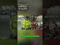 Operativo Antinarcóticos: ¡El K9 que olfatea la droga en tu equipaje! #shorts