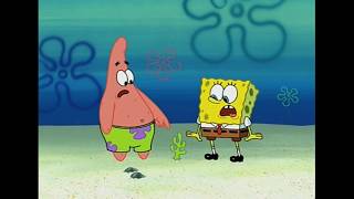 Patrick Star- Is he stupid?