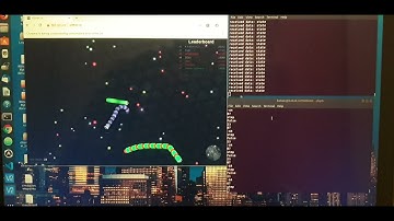 slither.io-v0, Reinforcement Learning Environment Based on OpenAI gym