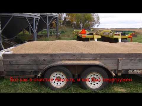 Канадские отшельники. Часть 330. Дела медвежьи.