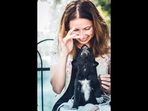 ლილიტის ტრანზიტი კირჩხიბში