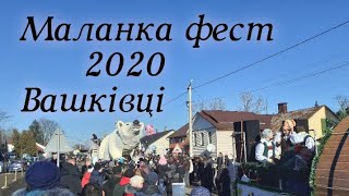 Маланка переберія, Вашківці 2020