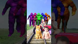 Descriptionxgolden Colors Cute Cat U0026 Baby Vsherdofbigfoot U0026 Train Driver Tomfunny