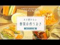 【簡単】火を使わない野菜の作り置き【カフェご飯】ダイエットにも