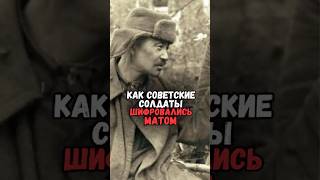 Как советские солдаты шифровали послание матом #история #факты #прошлое #интересно #ссср