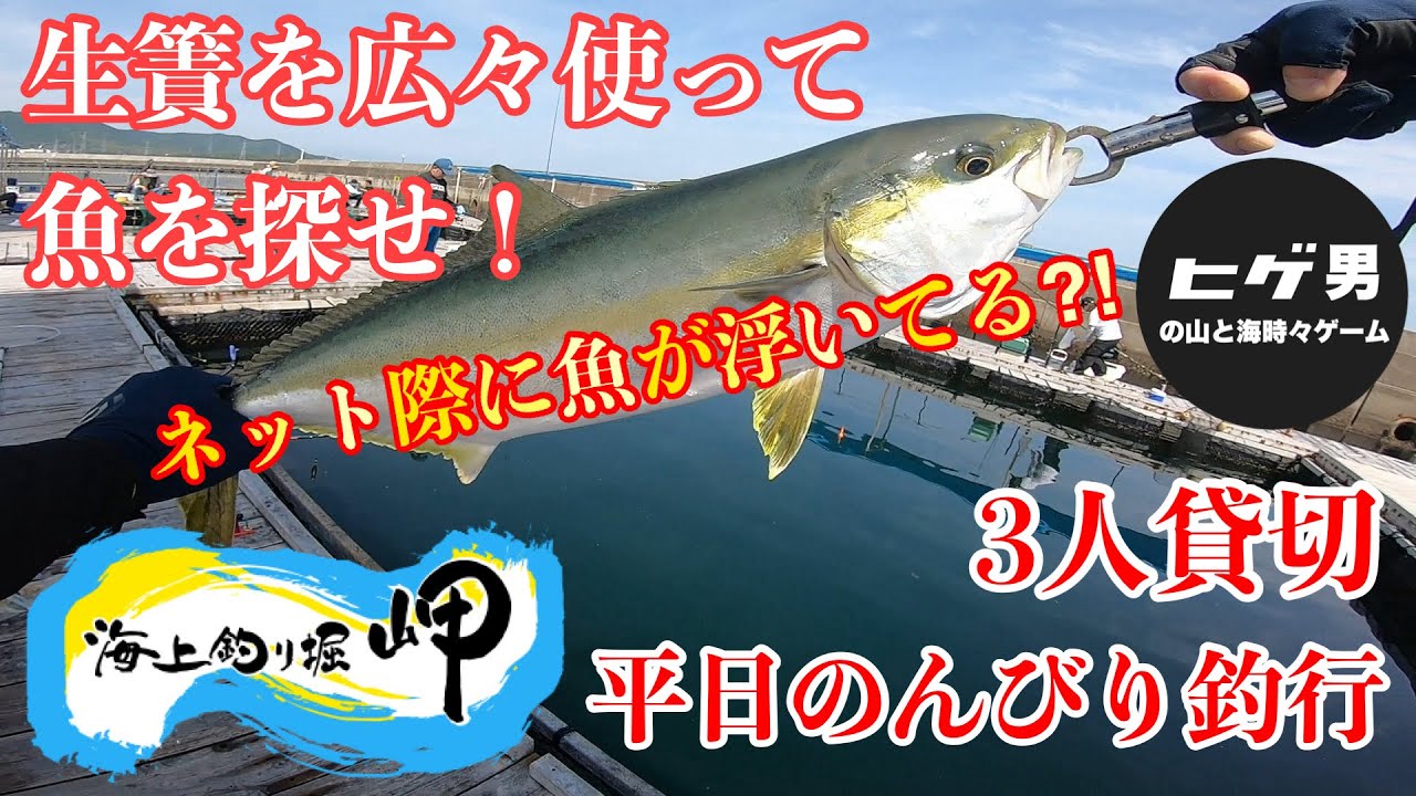 【海上釣堀】海上釣り堀岬　平日貸切のんびり釣行