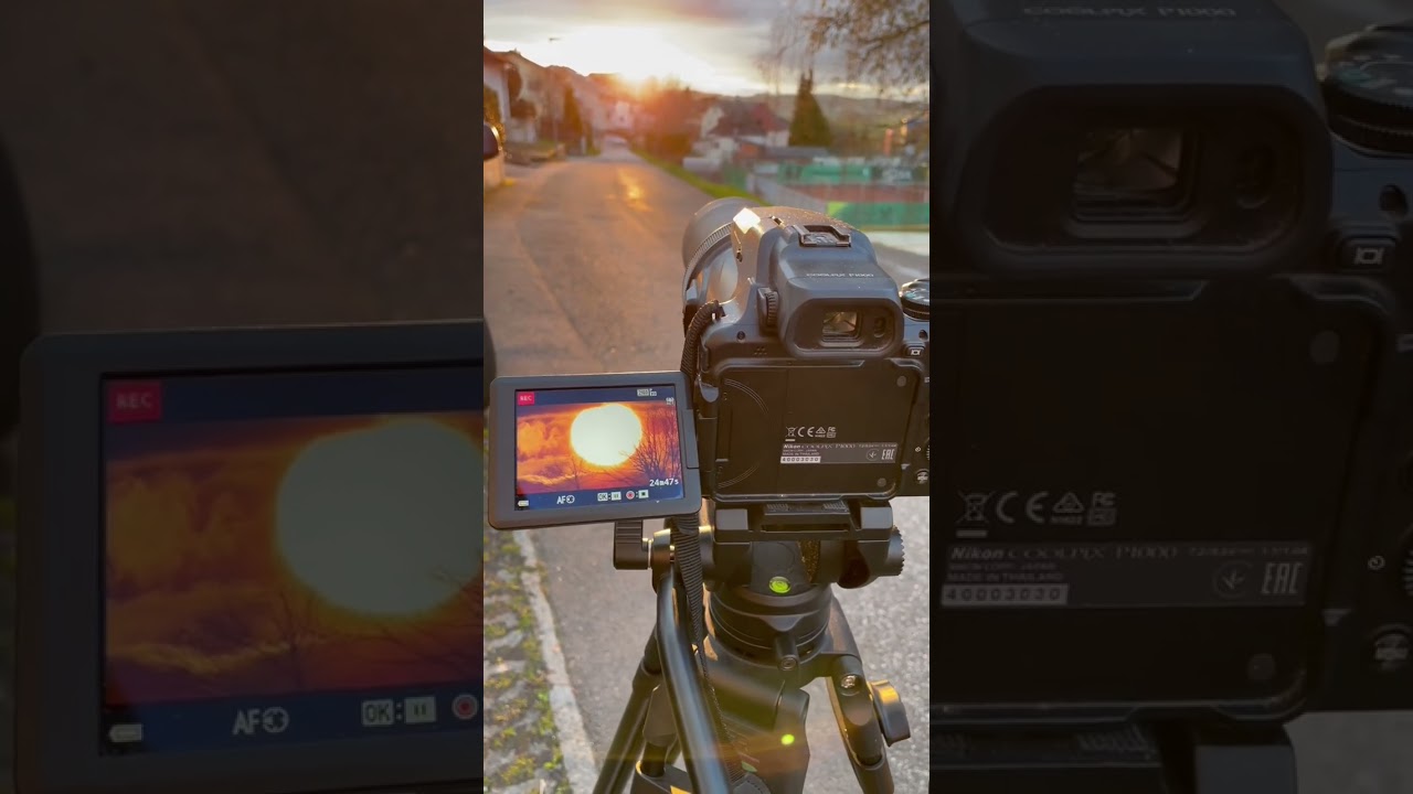 Sun flyby 2023, my neighbor knows it’s Perfect • Nikon P1000