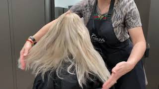 ROOTS TOUCH UP ON BLONDE