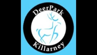 Deerpark Pitch & Putt - Hole 5 - Overview