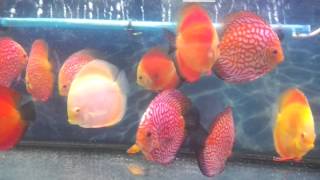 20130923_183124.mp4