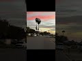 What a world. #haveitoldyoulatelythatiloveyou #fypシ #sunset #liminalspace #fypシ゚viral