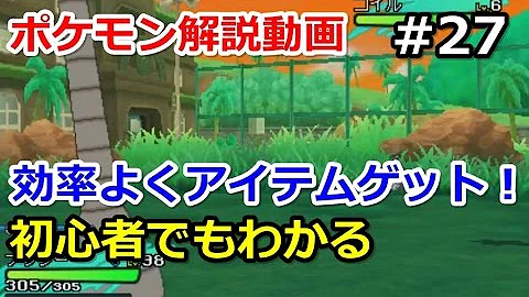 サンムーン 周回 アイテム