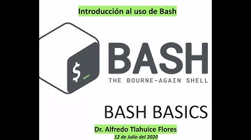 Introducción a Bash: Uso de la terminal de Linux