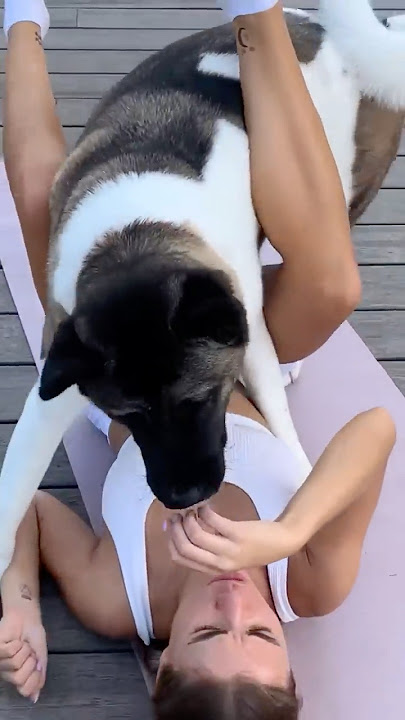 Fun home fitness with your dog #dogs #dogfunny #funnydogs #fitness #homeworkout #beautifulgirl