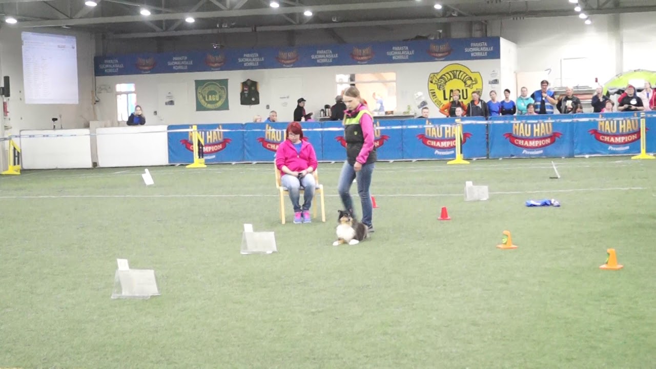 Tinja rally-toko SM 2017 finaalirata