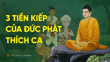 3 câu chuyện tiền kiếp của Đức Phật Thích Ca | Thầy Thích Trúc Thái Minh