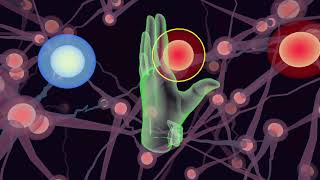 membrain gameplay screenshot 1