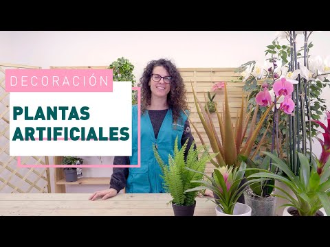 Cómo decorar con plantas artificiales y sus cuidados | Decoración en VERDECORA