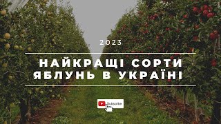 Яблуні мрії: Огляд найкращих сортів для садівництва в Україні