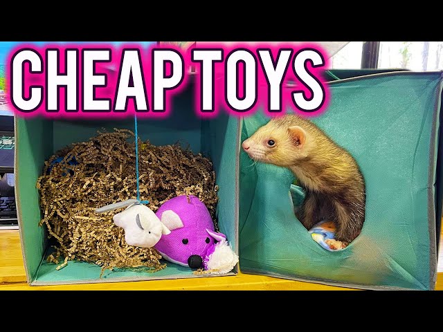 Super Cheap Toys For Ferrets You