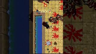 TIBIA / 3 CURIOSIDADES DE OPEN PVP