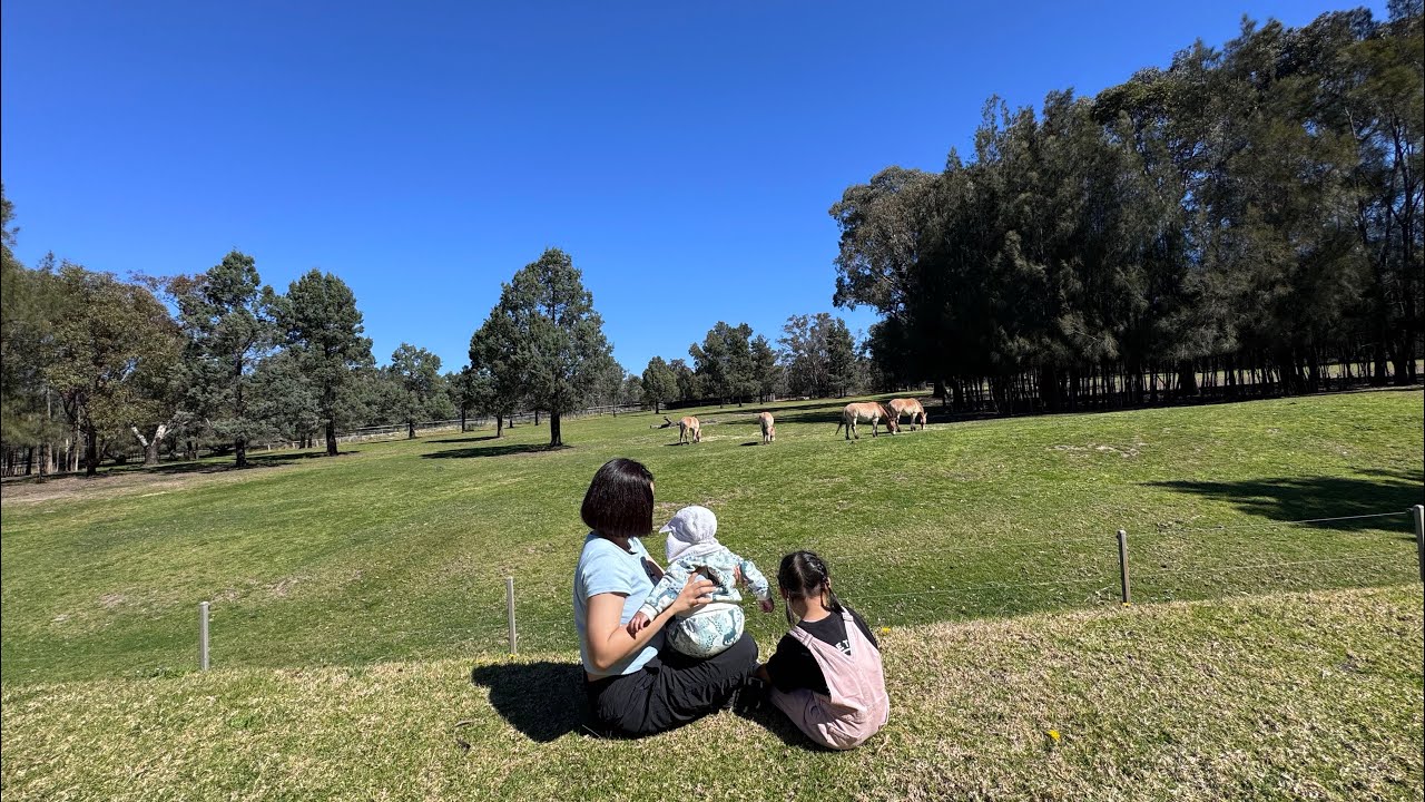 Road Trip to Taronga Western Plains Zoo, Dubbo NSW 