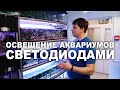 Диодный свет для аквариума: как оборудовать стеллаж в зоомагазине