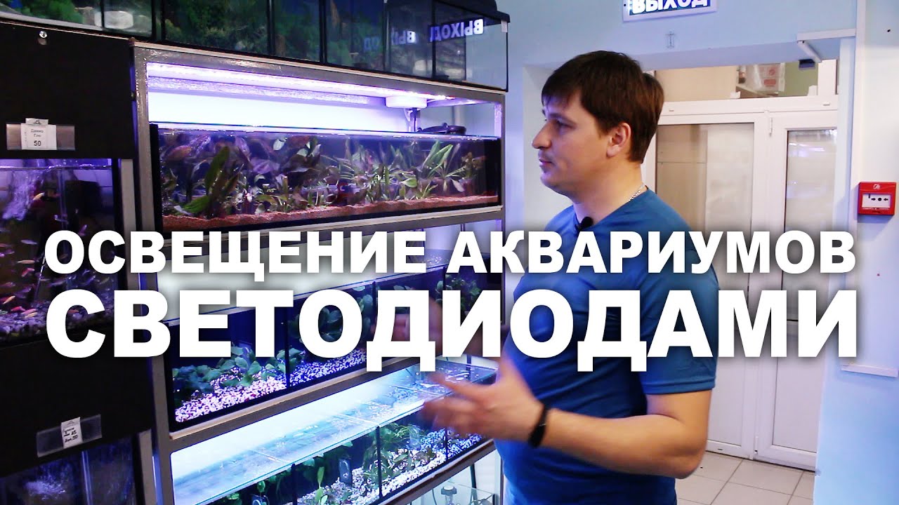 Светильник для аквариума — Video | VK