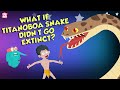 What If The Titanoboa Didn't Go Extinct?  | Biggest Snake Ever | Dr Binocs Show | Peekaboo Kidz