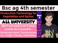 🔴 Production technology for Vegetables and Spices important questions || bsc ag 4th sem #awr #mjpru