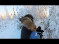 Alaska Husky Adventures 360 Video Alaska - The Ride -  Part 3