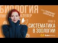 Систематика в зоологии | БИОЛОГИЯ ЕГЭ | Лина Клевер